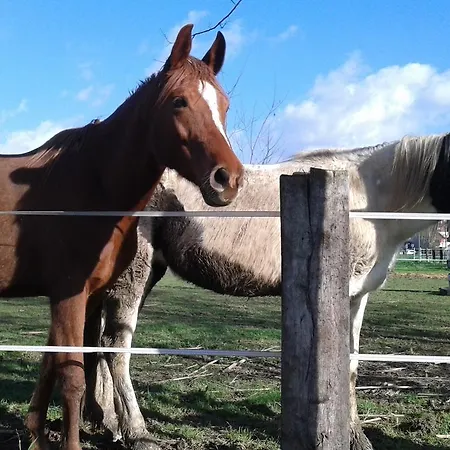 Buio Pesto Bed & Breakfast 3*