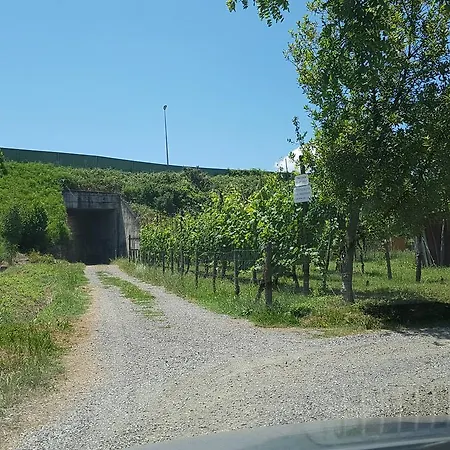 Bed & Breakfast Buio Pesto