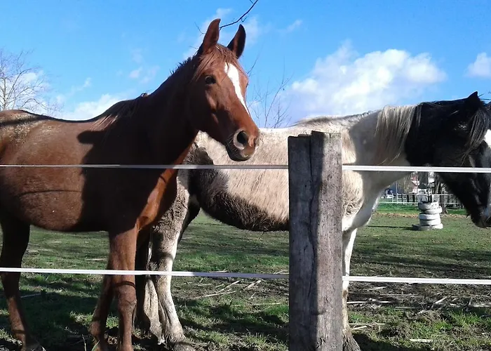 Buio Pesto Bed & Breakfast 3*