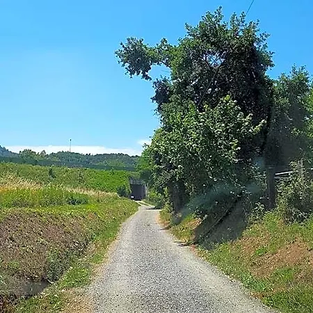 Buio Pesto Ceparana