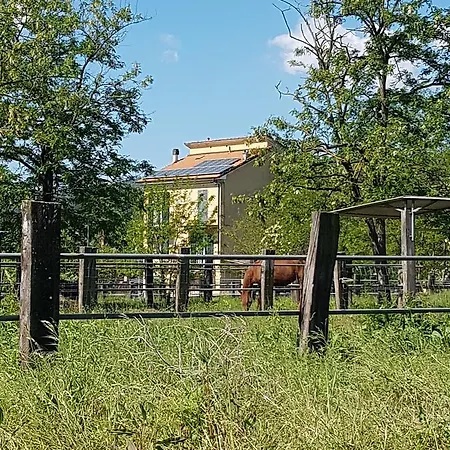 Buio Pesto Couette-café 3*